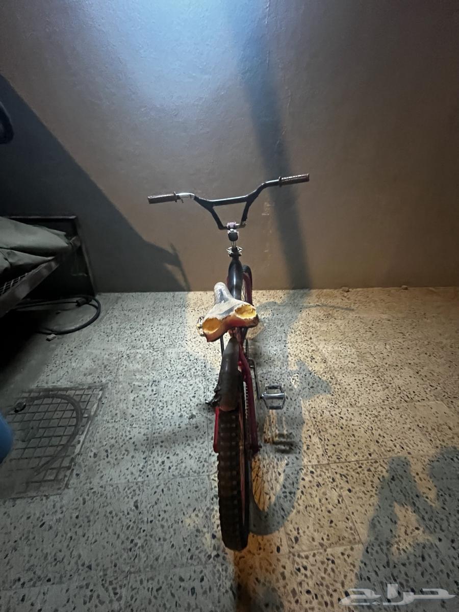 سيكل كوبرا مقاس 20للبيع64403025812354112