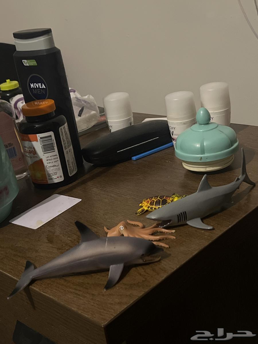 العاب64403665479298110