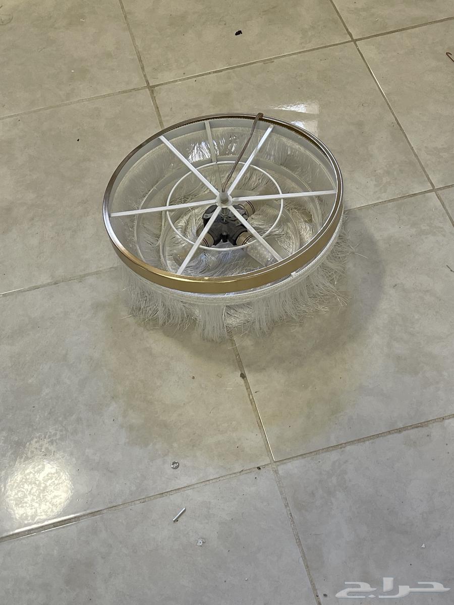 نجف للبيع سعر الحبة 30ريال64404694571139113