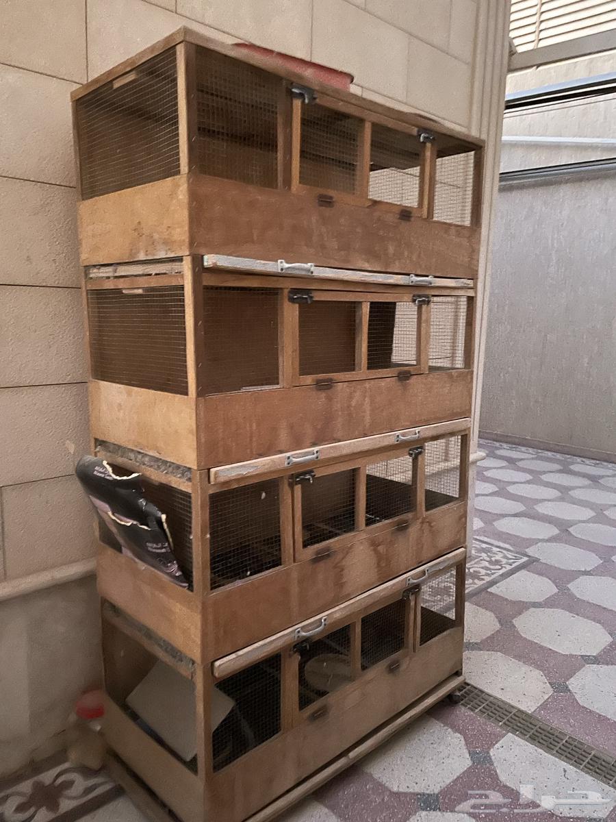 Bird and pet animal net64404652813314110