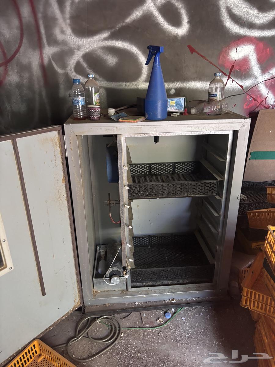 500-Egg Incubator with Roller System64403084883075114