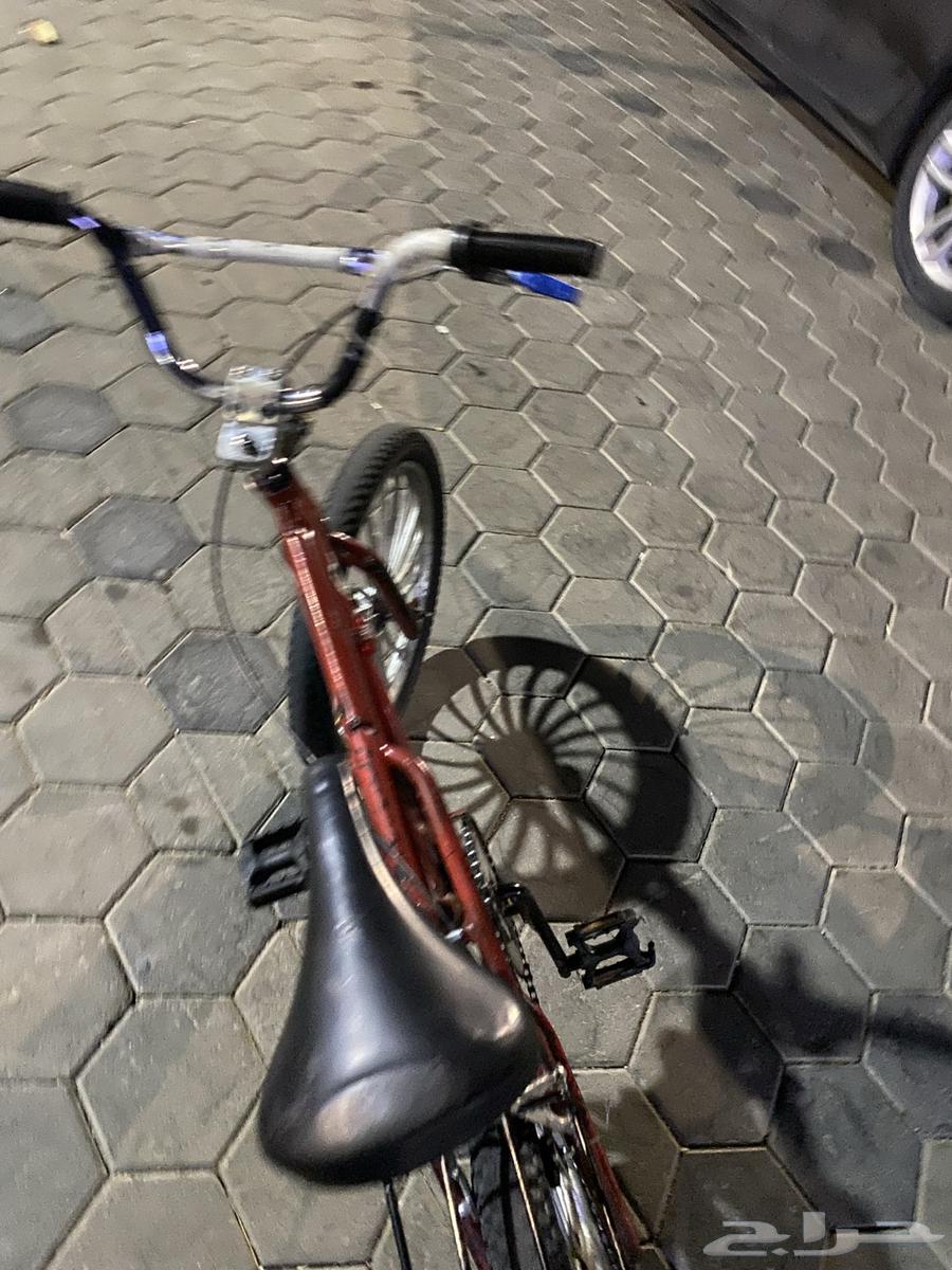 سيكل رامبو مقاس 20 مع الجنوط64402161633411112