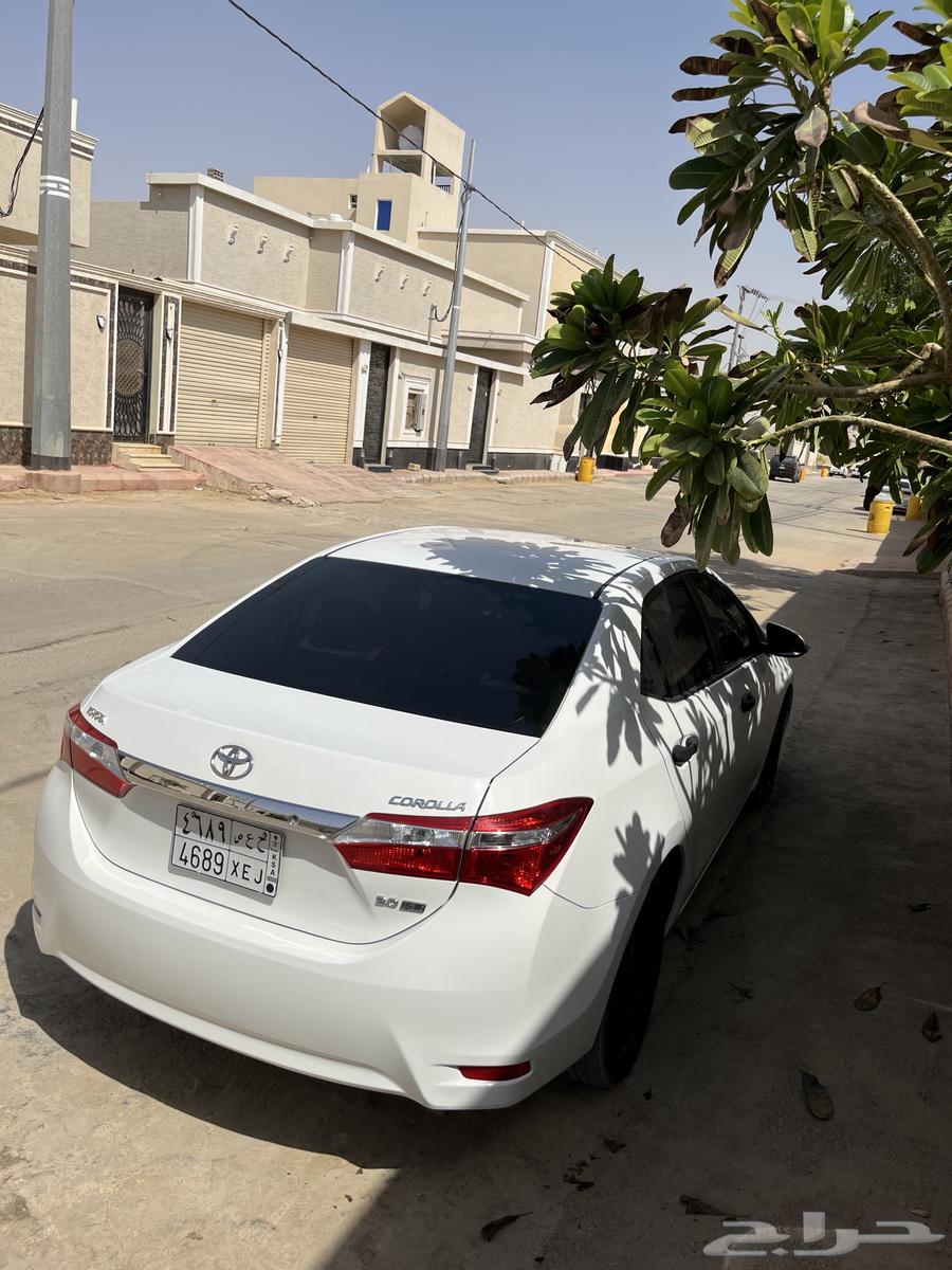Korla 2014 Manual Transmission63618164191233113