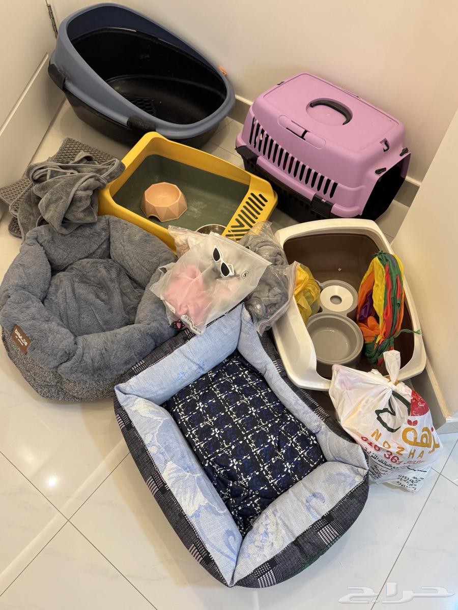 أغراض قطط للبيع64401550696706110
