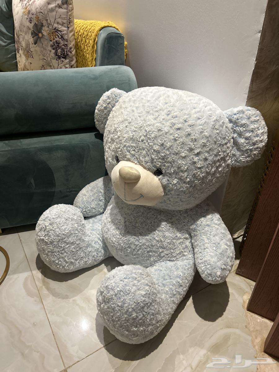 دب للبيع64403986399361111