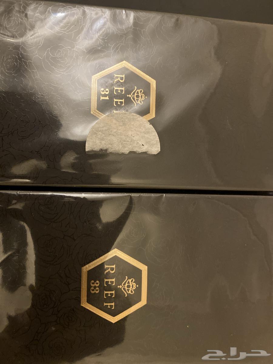 Reef Perfumes64402858921601110