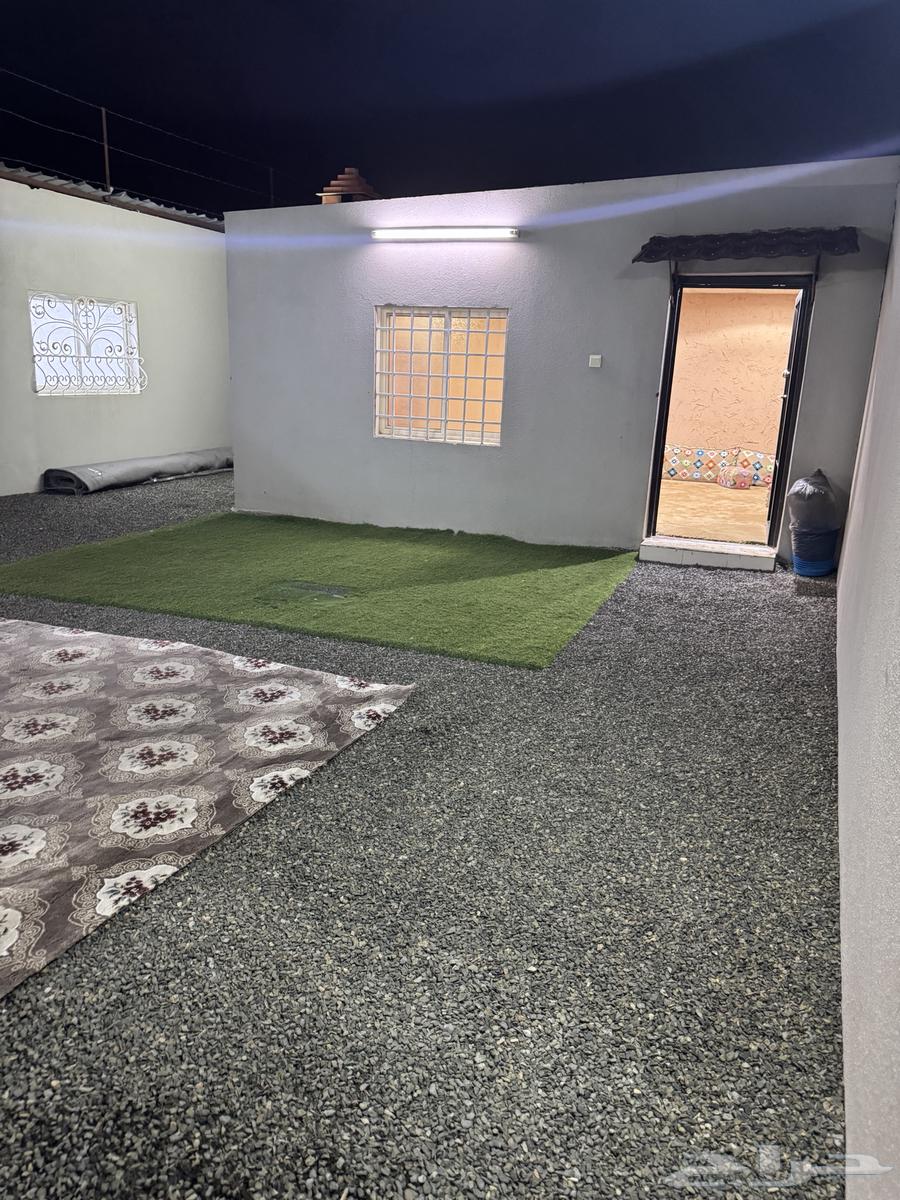 دوانيه للاجار طريق الملك عبدالله الرديف خلف مطعم اقلط63614099626241114