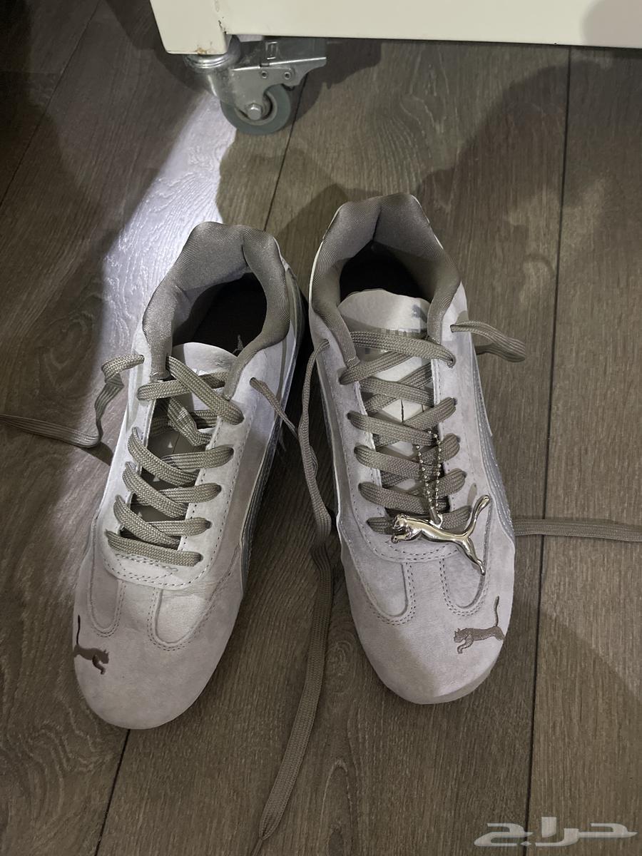 جزمة بوما سبيد كات64402299781505112