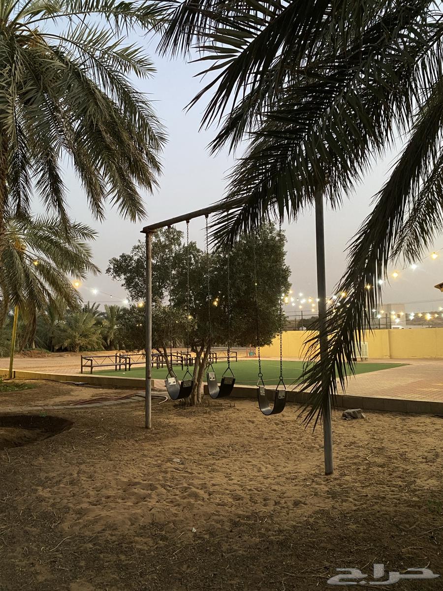Al Safa Al Reefiah Rest House for Daily Rental63614101295875111