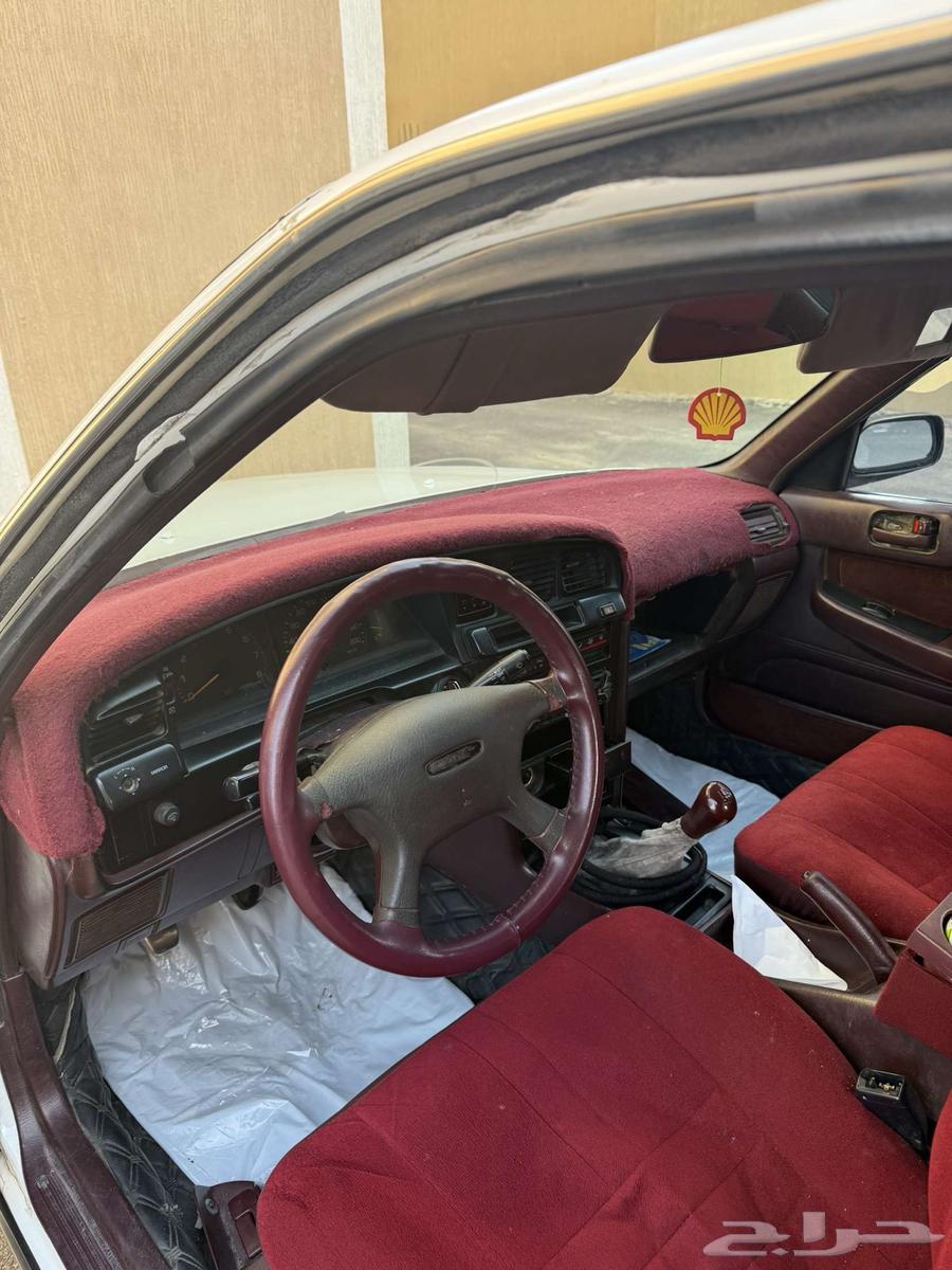 Cressida63618248091393114