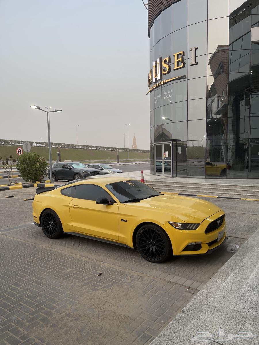 Ford Mustang 201663618267684611113