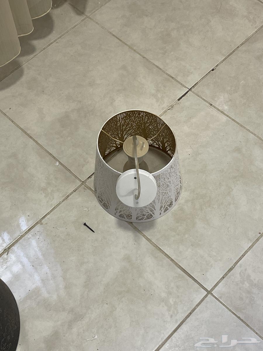 نجف للبيع سعر الحبة 30ريال64404694571139112