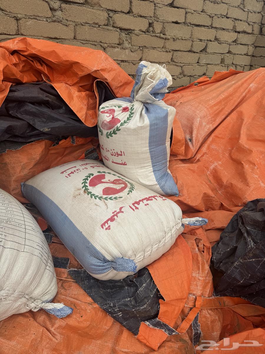 حب ذره ودخن64403202306691111