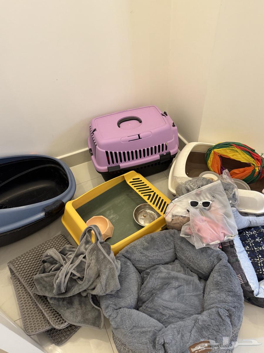 أغراض قطط للبيع64401550696706111