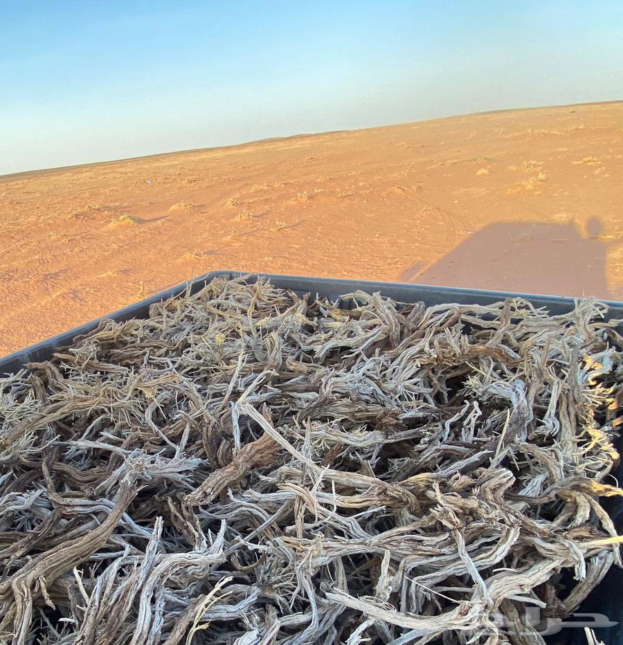 صندوق للبيع مع مع الي بصندوق63618259507330112
