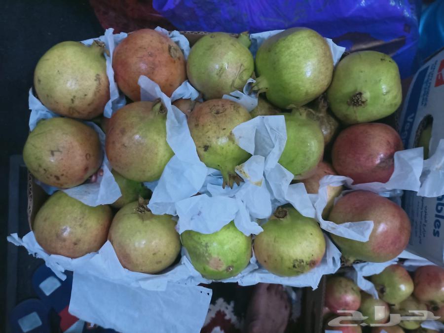 There is premium pomegranate from Khamis Mushait available in Riyadh64404833995009110