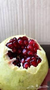 رمان جوف ال معمر64401508515074111