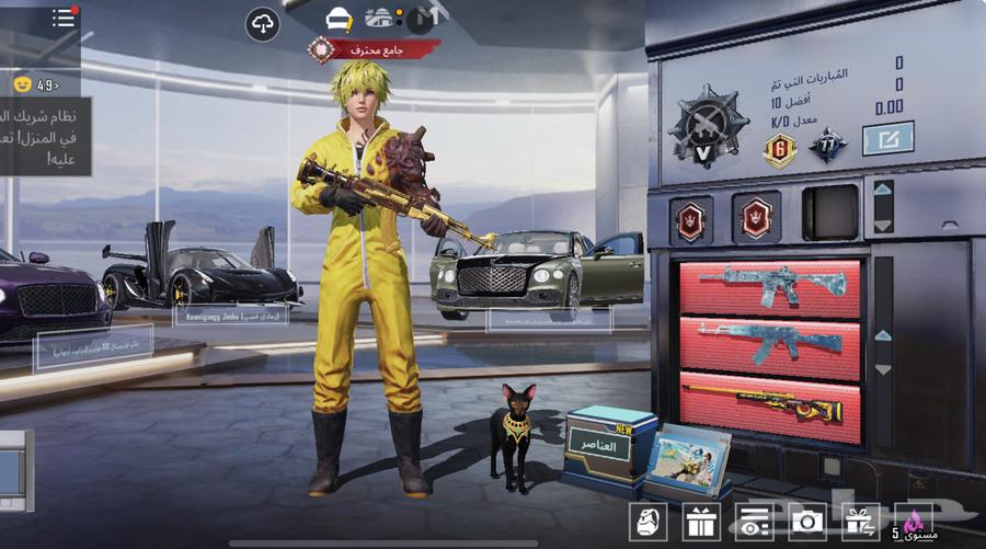 حساب ببجي للبيع64402927485826111