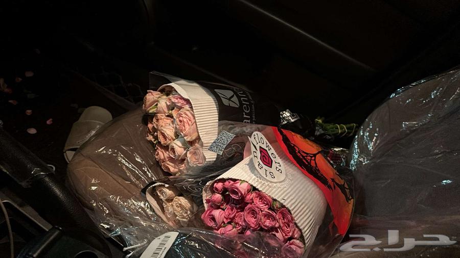 بيبي روز ب اسعار حلوه64402428661250113