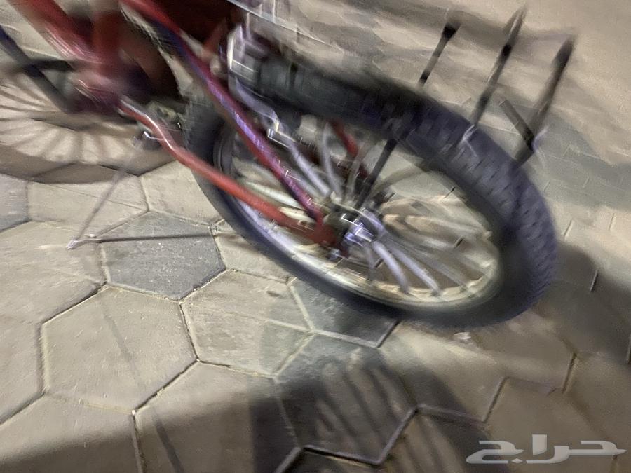 سيكل رامبو مقاس 20 مع الجنوط64402161633411113