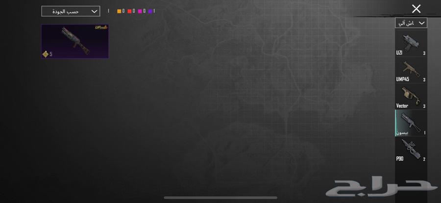 PUBG account I paid 2500 riyals for, I swear it's valuable to me64401578291969114