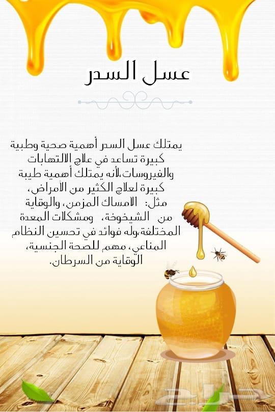 Mountain Sidr Honey from the Mountains of Fifi, Fresh and Limited Quantity64405956894593110