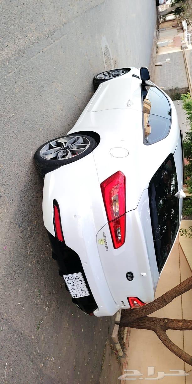 سيراتو 2015 كوبيه63618255463553111