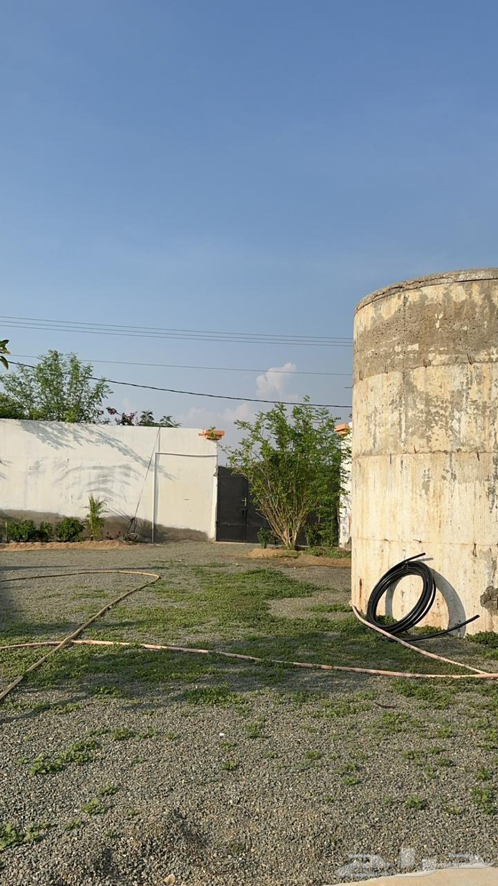 Rest House for Rent64141430981635111