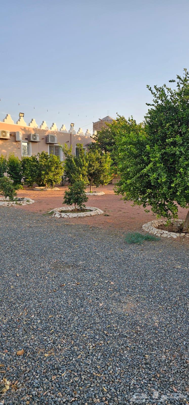 Farm for sale in Hail, Al-Shu'alanah village, 50 thousand meters, shared title63614096840835113