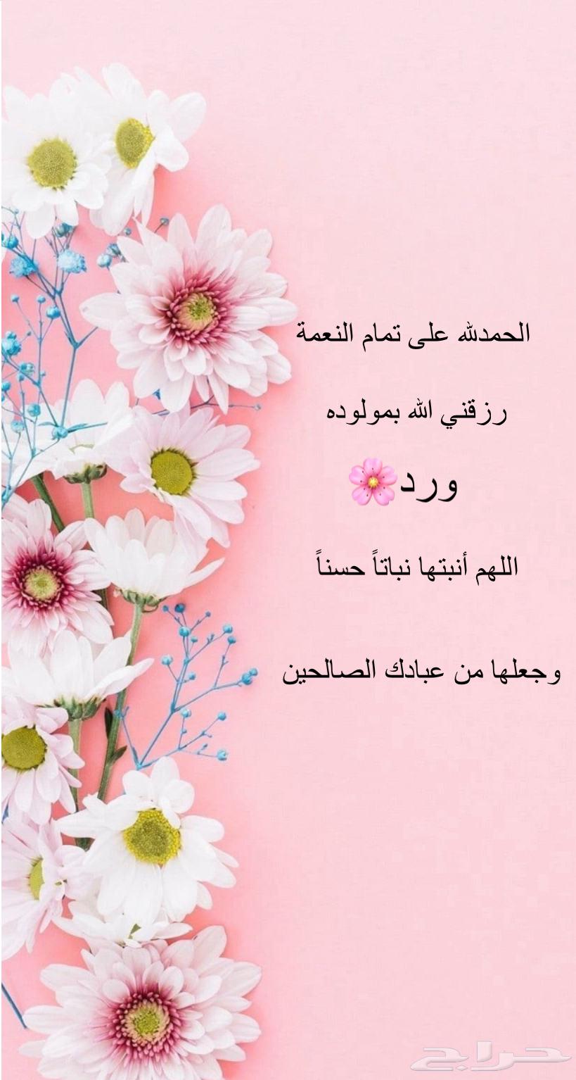 دعوه زواج ومولود بطايق 10ريال64376930080003113