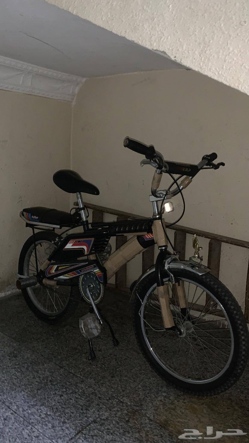 رامبو اندنوسي عداد64394841412482110