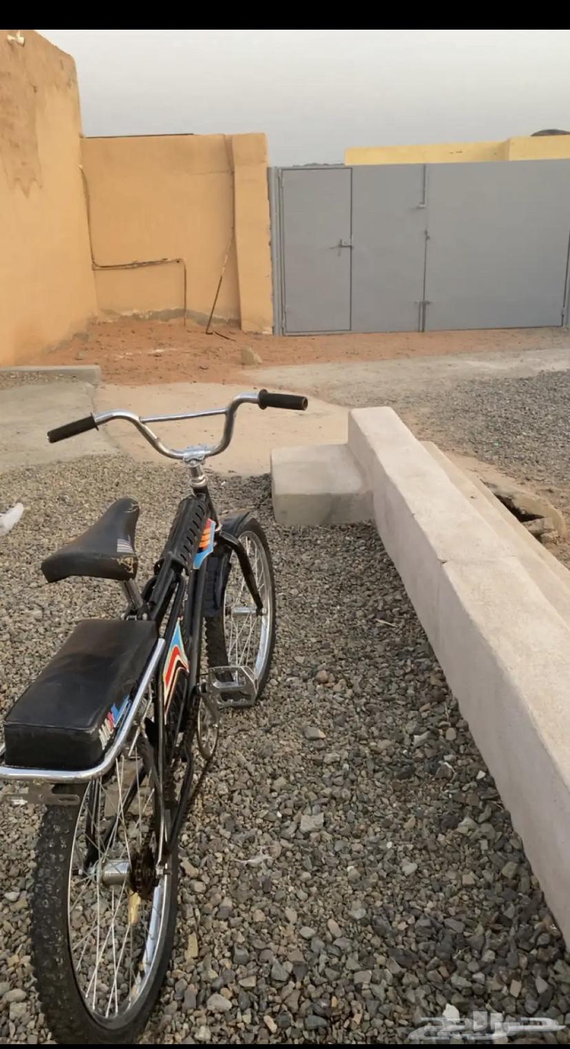 Rimbo Bicycle63619646549763113