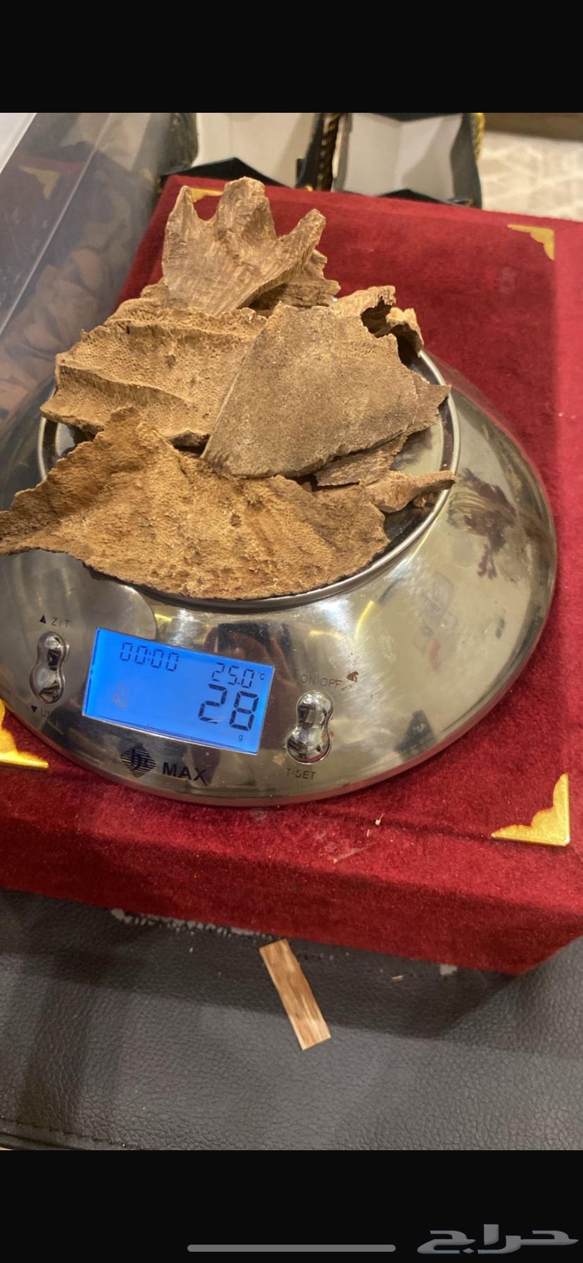 جار هندي سوبر مرتفع64401299997059111