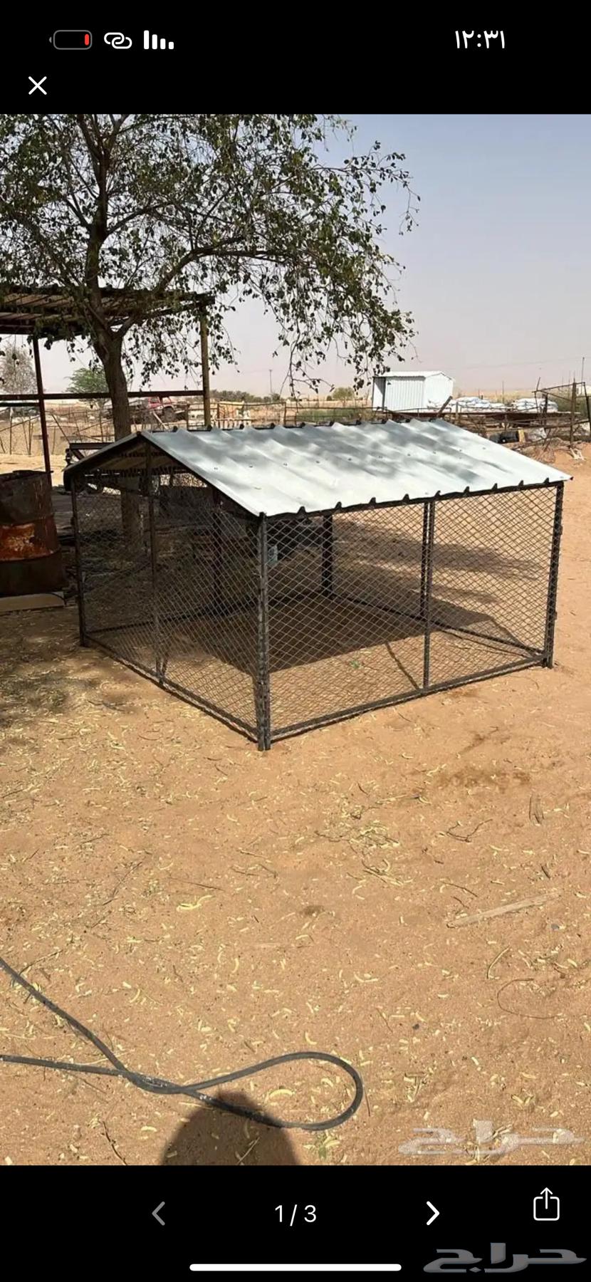 Chicken mesh64401550717441112