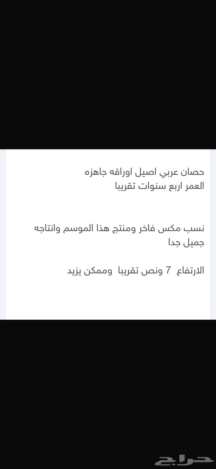 حصان63619448420611112