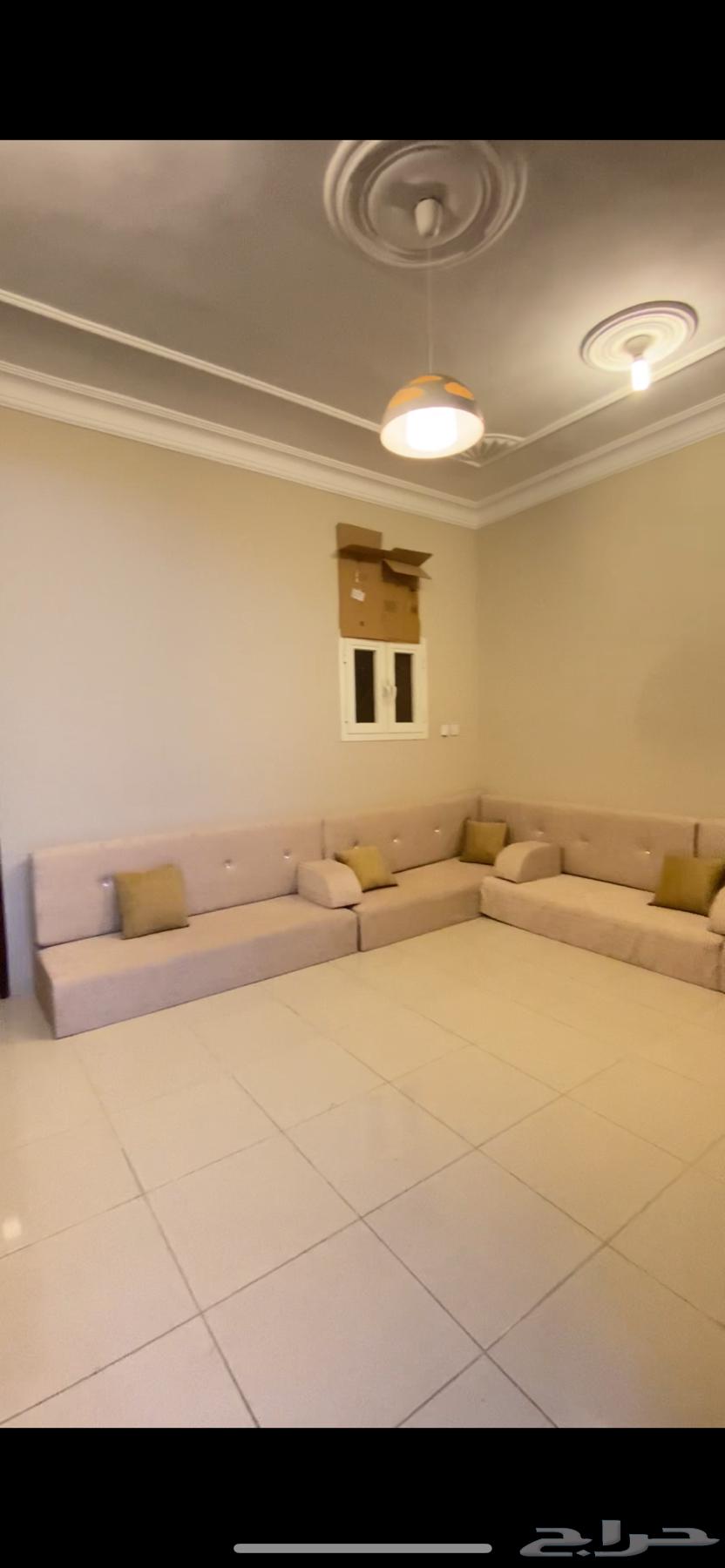 Floor sofa64404652900353110