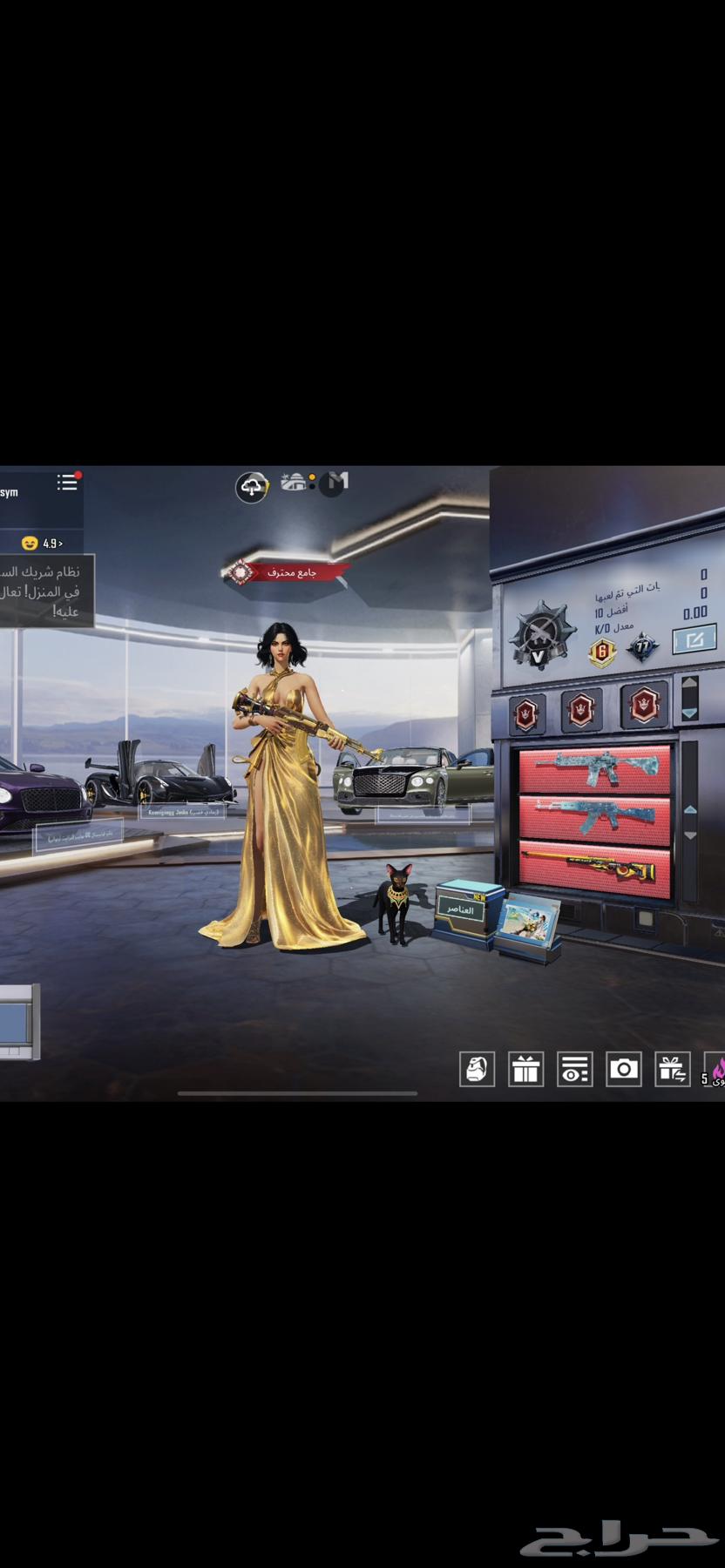 حساب ببجي للبيع64402927485826112