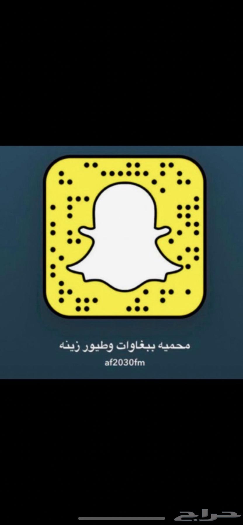 جوز روز64402428675714112