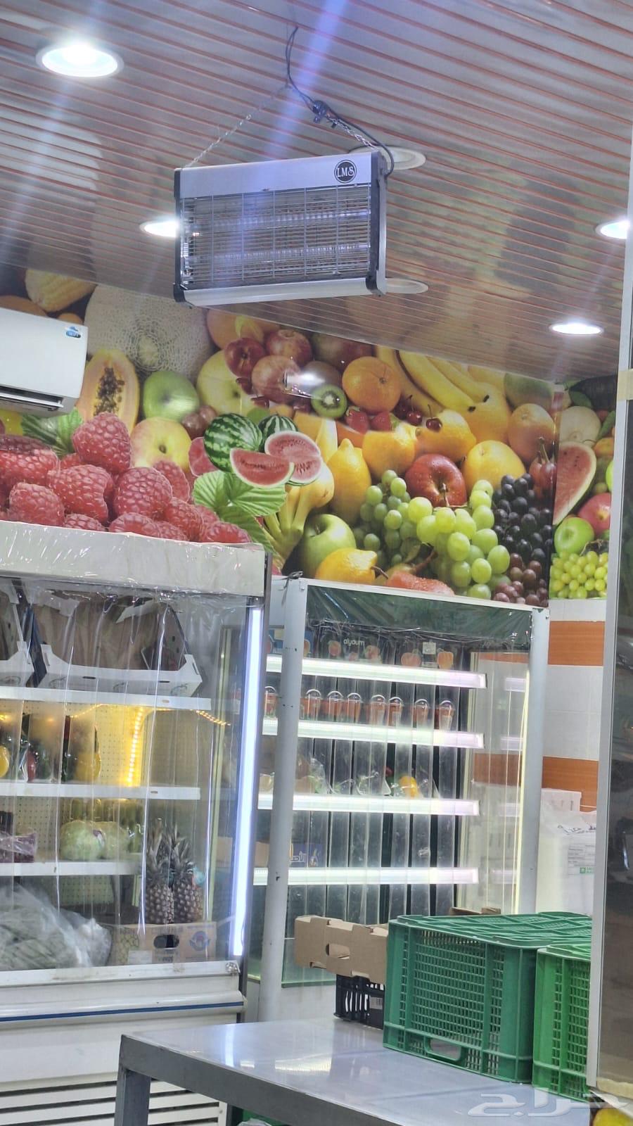 Business activity for vegetables and fruits, selling in Riyadh, Taif Street63614095901697111