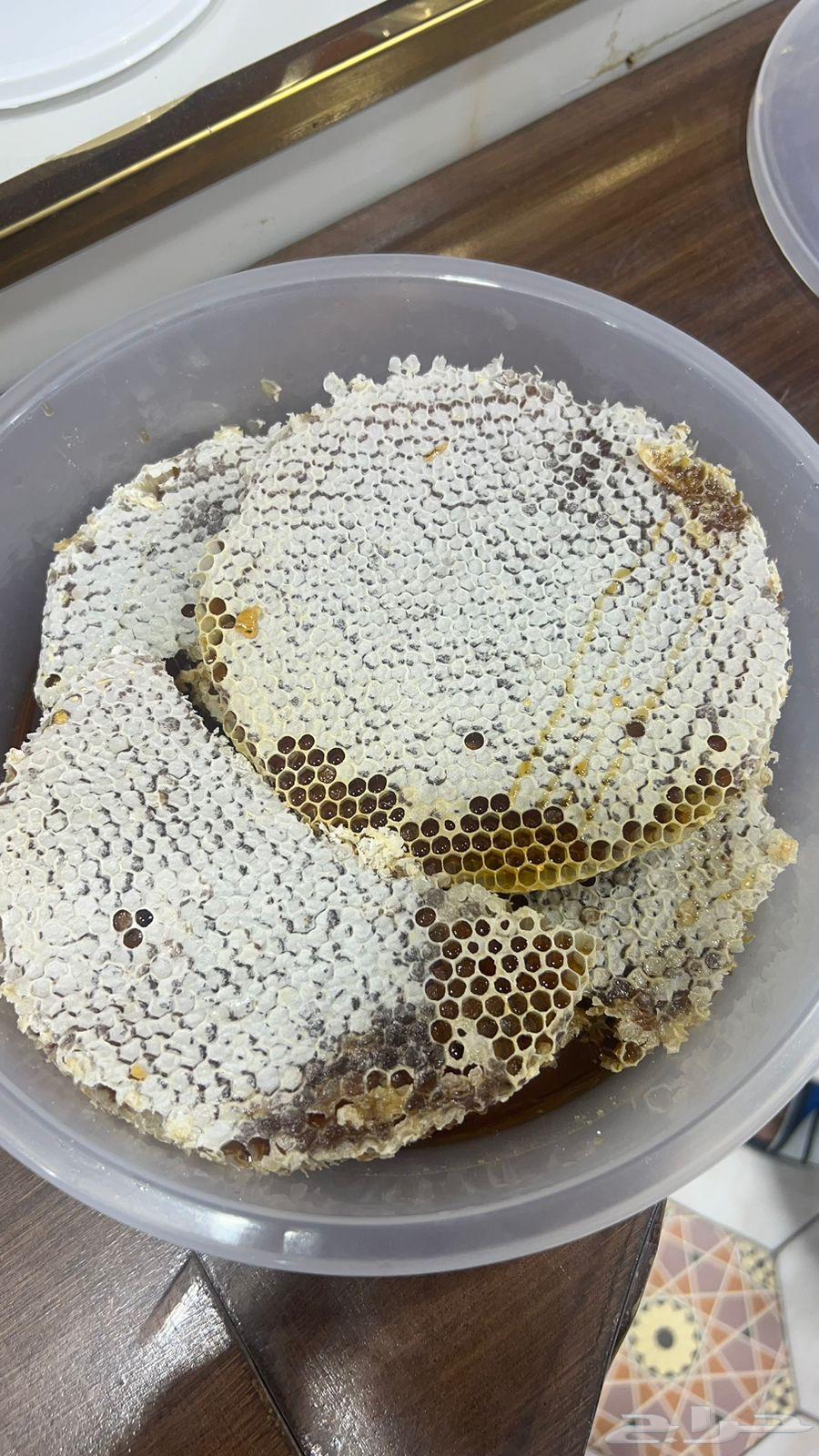 عسل للبيع64403602238978110