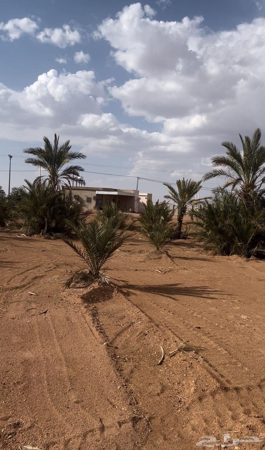 For sale, land in Barinbah with updated agricultural deed, area 410264141431478914111
