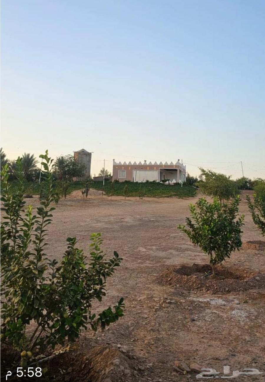 Farm for sale in Hail, Al-Shu'alanah village, 50 thousand meters, shared title63614096840835111