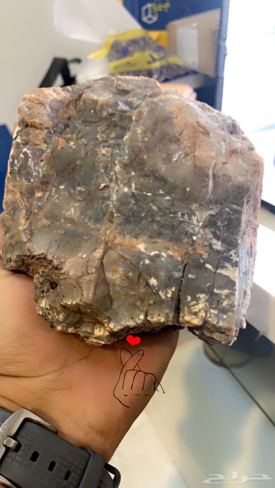 للبيع تحف من الطبيعه64407628471426112