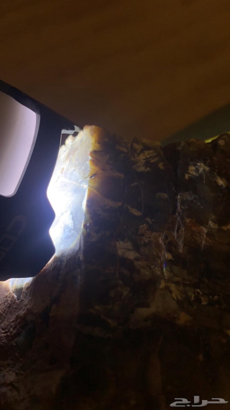 للبيع تحف من الطبيعه64407628471426111