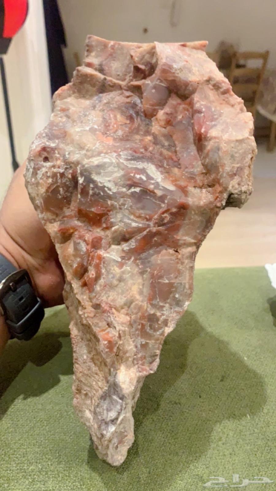 للبيع تحف من الطبيعه64407628471426114