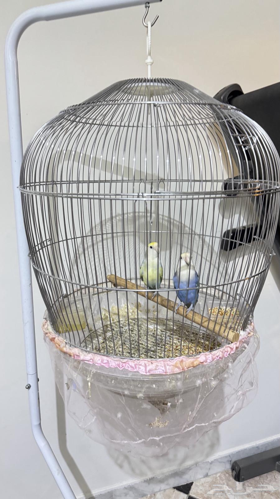 Collection of items for sale at a special price64409865735809113