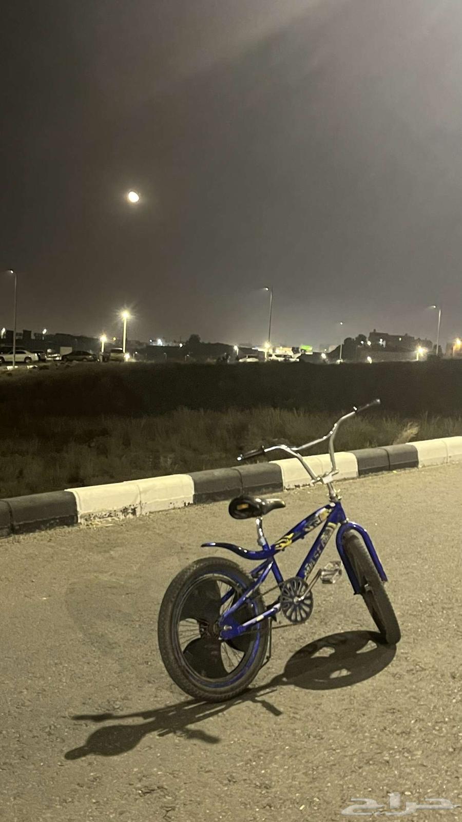 Cobra Bicycle Size 2264409464147202112