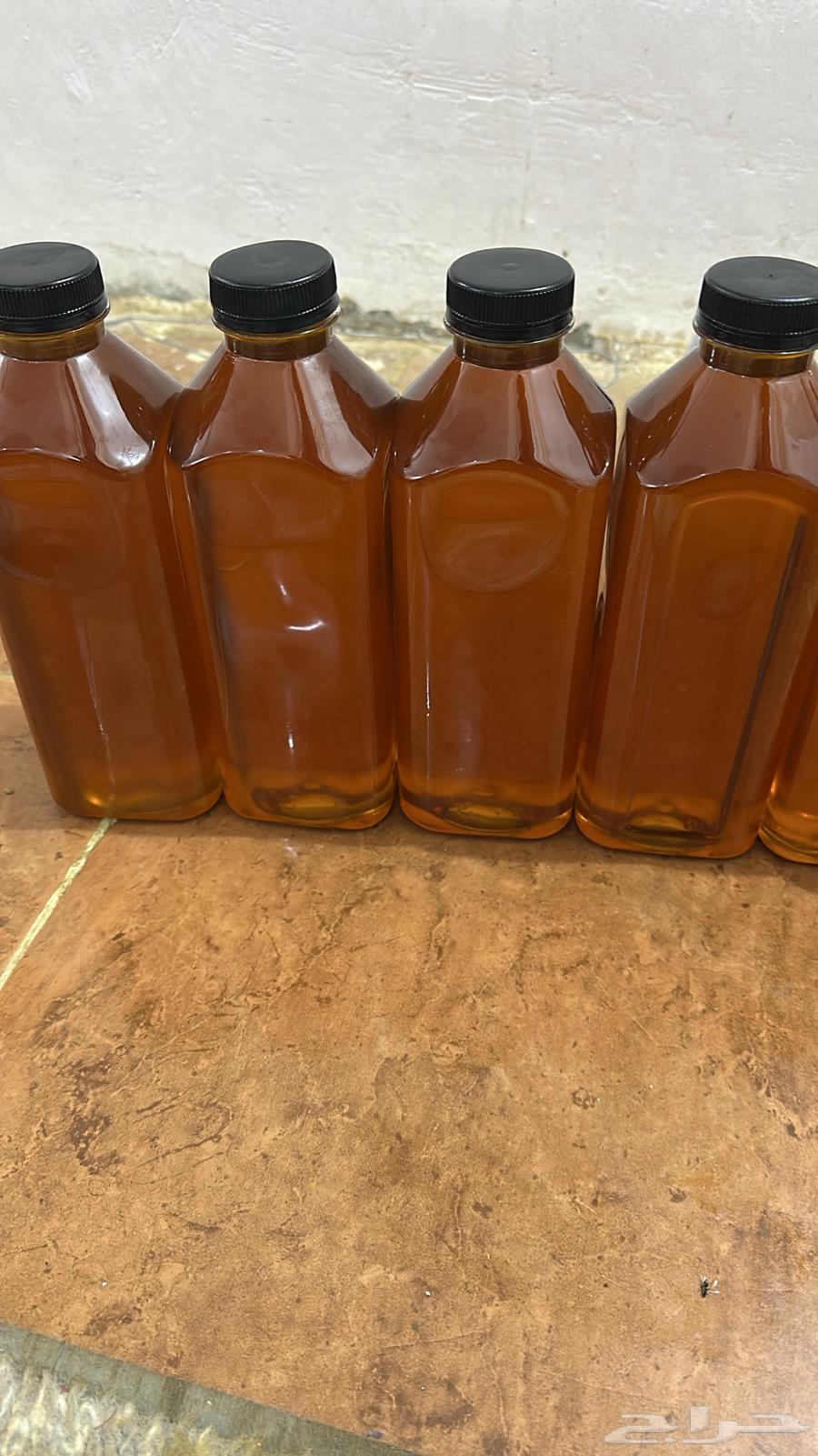 القنفذه سبت الجاره64411446791810110