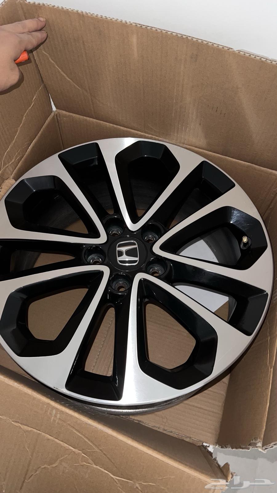 جنوط اكورد من 2013 الى2016 6 سرندل64567434187009110