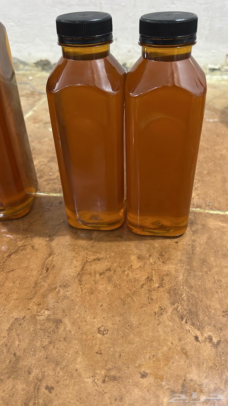 القنفذه سبت الجاره64411446791810111